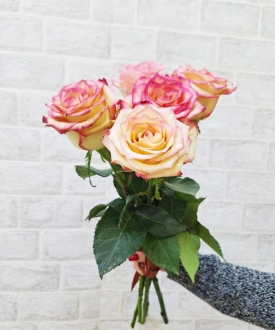Роза Россия 50 см
